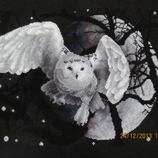 Работа «Белая сова»