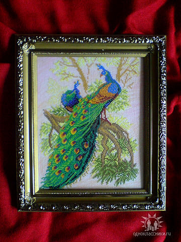 Работа «павлины»