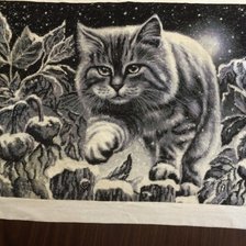 Работа «Снежный кот»