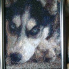 Работа «Haska Nora»