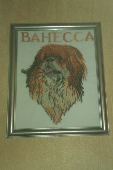 Работа «Неська»