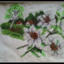 Работа «№47662»