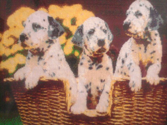 Работа «долматинцы»