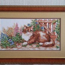 Работа «рыжий кот»