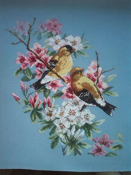 Работа «№47837»