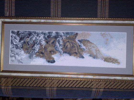 Работа «№47997»