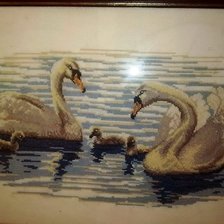 Работа «лебединое озеро»