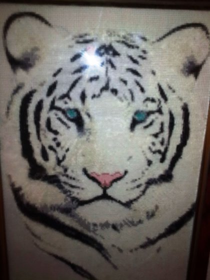 Работа «белый тигр»