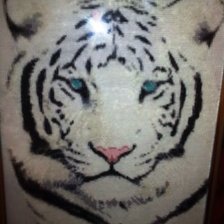 Работа «белый тигр»