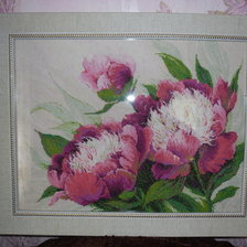 Работа «№48222»