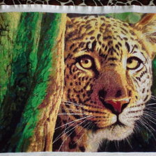 Работа «леопард»