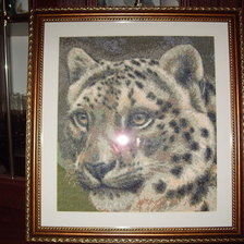 Работа «Дикая кошка.»