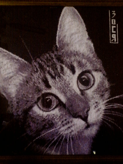 Работа «Грустный котик»