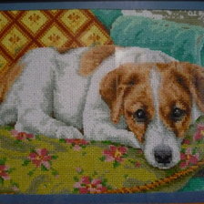 Работа «джек рассел»