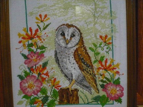 Работа «сова»