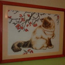 Работа «удивленный кот»