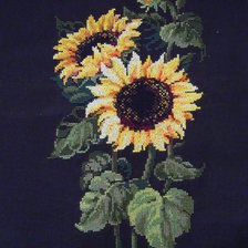 Работа «краски лета»