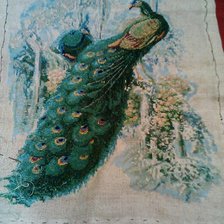 Работа «Павлины»