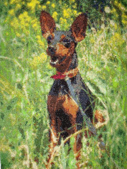 Работа «Баська»