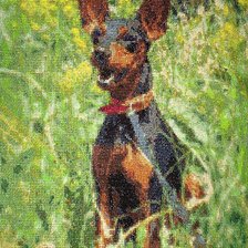 Работа «Баська»