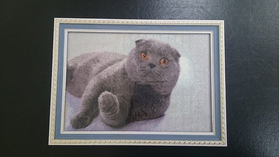 Работа «Шотландский вислоухий»