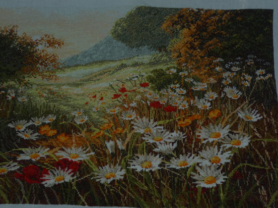 Работа «"Вечернее солнце"  АНКОР»