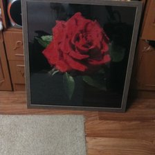 Работа «роза на черном фоне»