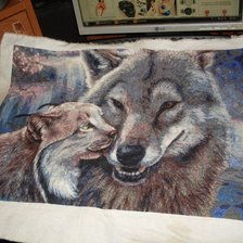 Работа «Волк и рысенок»