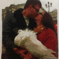 Работа «№49725»