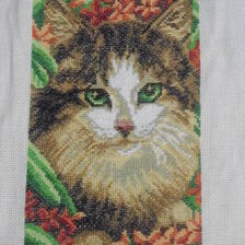 Работа «№49873»