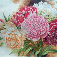 Работа «5459_Peonies_PN_0144 DMC+gamma»