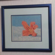 Работа «№50010»