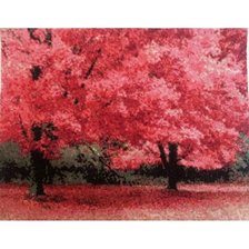 Работа «№50013»