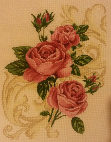 Работа «Розы РТО»