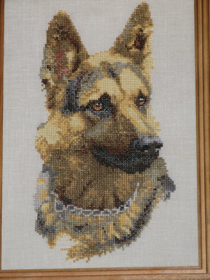 Работа «№50252»