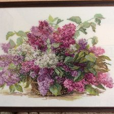 Работа «Сирень»