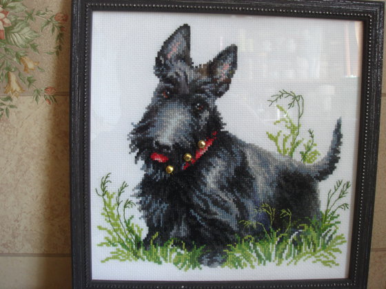 Работа «Скотч-терьер»