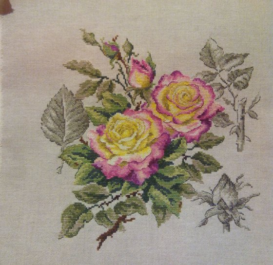 Работа «Ботаника»