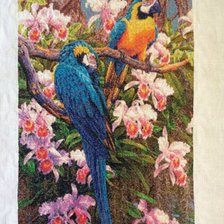 Работа «Попугаи»