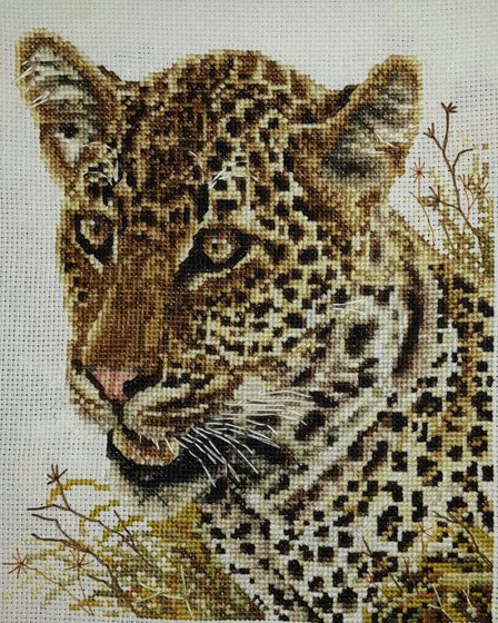 Работа «№50697»