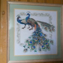 Работа «Павлины»