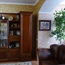 Работа «Кошачье семейство в интерьере.»