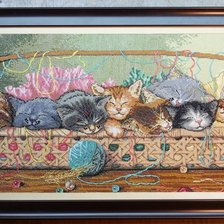 Работа «№50996»