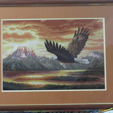 Работа «Безмолвный полет»