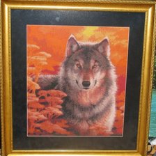 Работа «№51142»