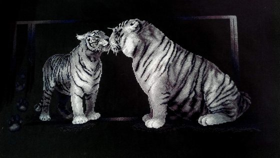 Работа «Тигриная любовь»