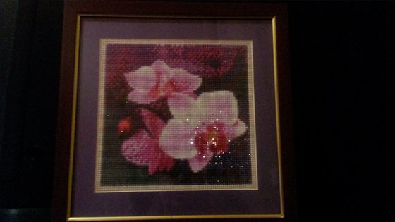 Работа «№51893»