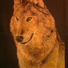 Работа «Волк»