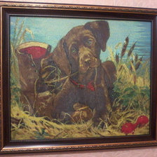 Работа «Щенок»