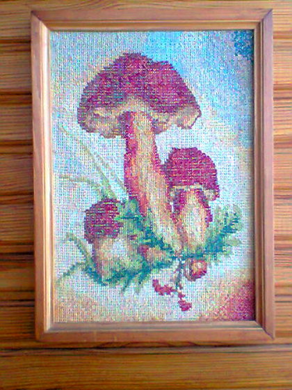 Работа «Грибы»